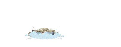 RAKSASA123_LOGO_GERAK.gif